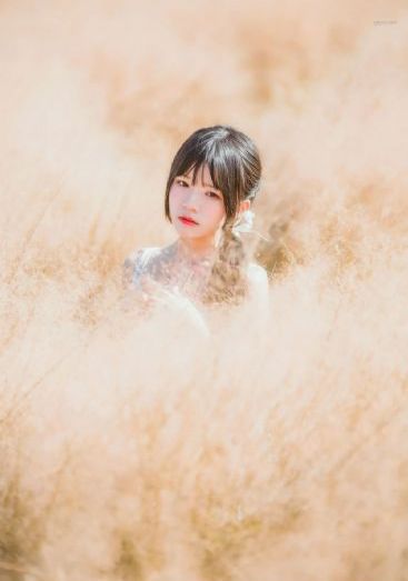 芝加哥烈焰第十二季-免费无删减青柠影院