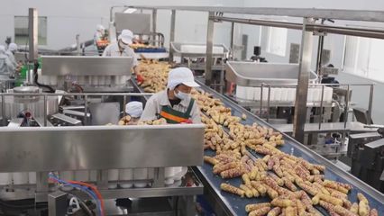 希望的田野 吉林預制菜產(chǎn)業(yè)駛?cè)氚l(fā)展快車道